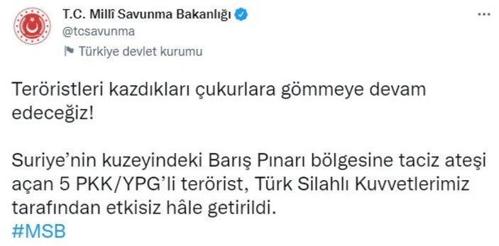 Barış Pınarı bölgesinde 5 PKK'lı etkisiz hale getirildi