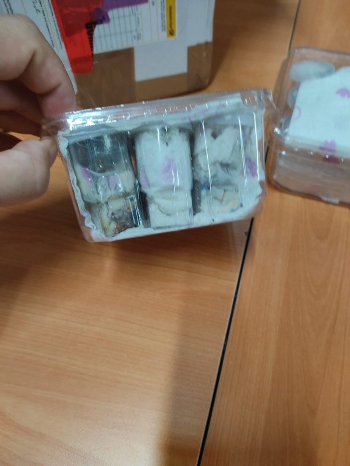 İzmir’de, posta gümrüğündeki gönderiden 26 tüp tarantula çıktı