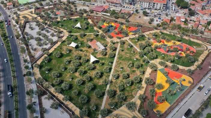 İzmir'de asırlık zeytin ağaçları, 'Zeytinpark' ile korunacak