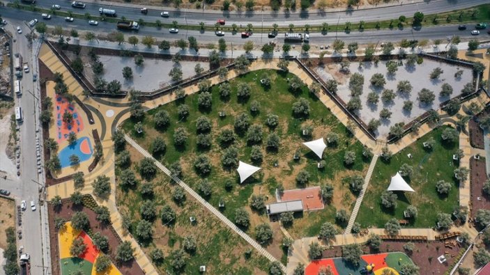 İzmir'de asırlık zeytin ağaçları, 'Zeytinpark' ile korunacak