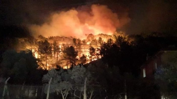 Muğla'nın Ula ilçesinde çıkan orman yangınına havadan müdahale başladı