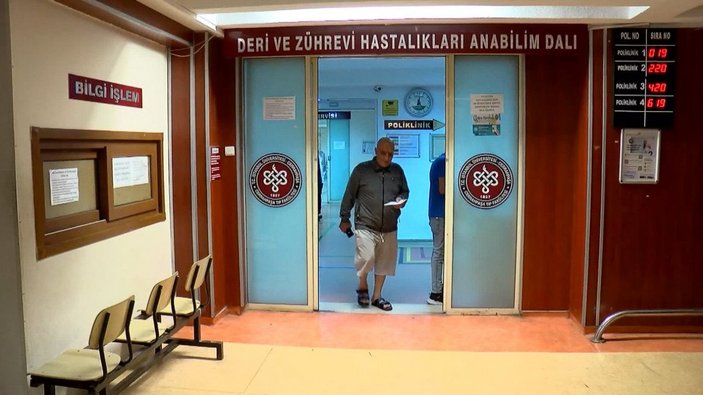 İstanbul'da, sivrisinekler vatandaşları hastanelik etmeye başladı