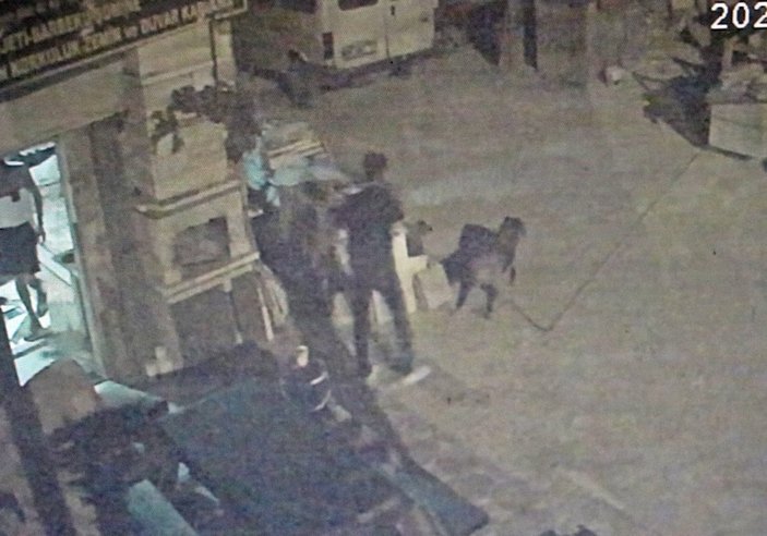 Antalya'da husumetlisiyle aynı ismi taşıyan köpeği öldürdü
