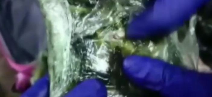 İstanbul'da 300 bin uyuşturucu hap ele geçirildi