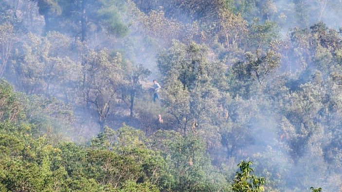 Bursa'da orman yangını: Havadan ve karadan müdahale ediliyor