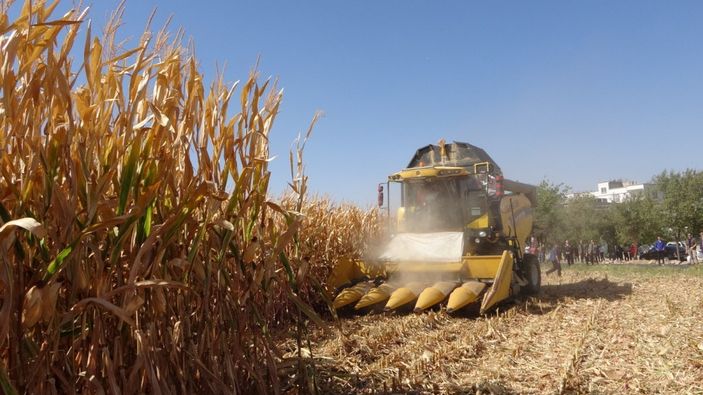 i Batman'da, anız yakanlar 5 yıl tarımsal destek alamayacak