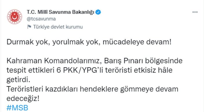 Barış Pınarı bölgesinde 6 terörist öldürüldü