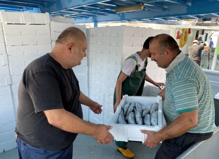Karadeniz'de balık bereketi: Tonlarca palamut tuttular
