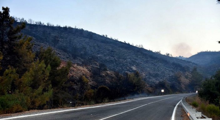 İzmir'de 430 hektarlık orman yangınının sanığı istinafta beraat etti