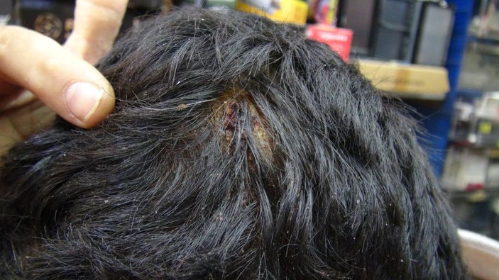 Kocaeli'de tente kumandası yüzünden tamirciyi dövdüler