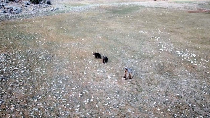 Munzur Dağları'ndan belgesel tadında görüntüler