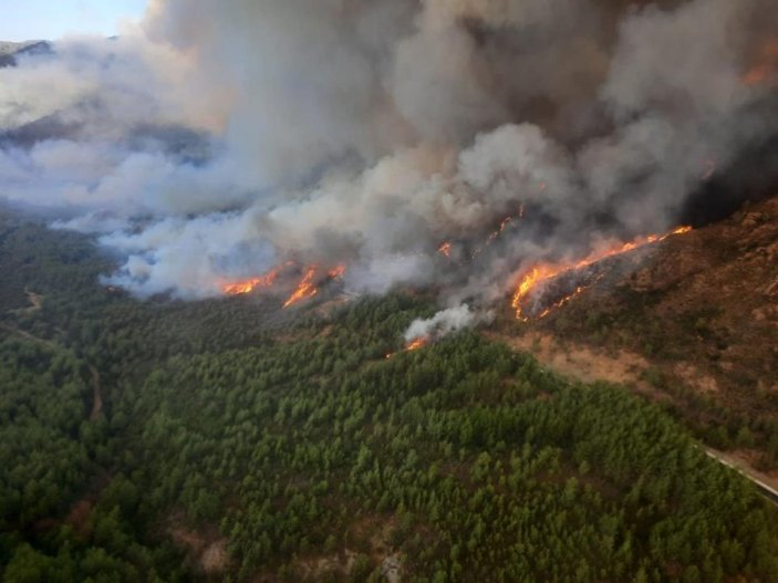 Marmaris'te orman yangınına müdahale