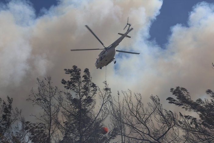 Marmaris'teki orman yangınıyla ilgili 85 yaşındaki bir arıcı gözaltına alındı