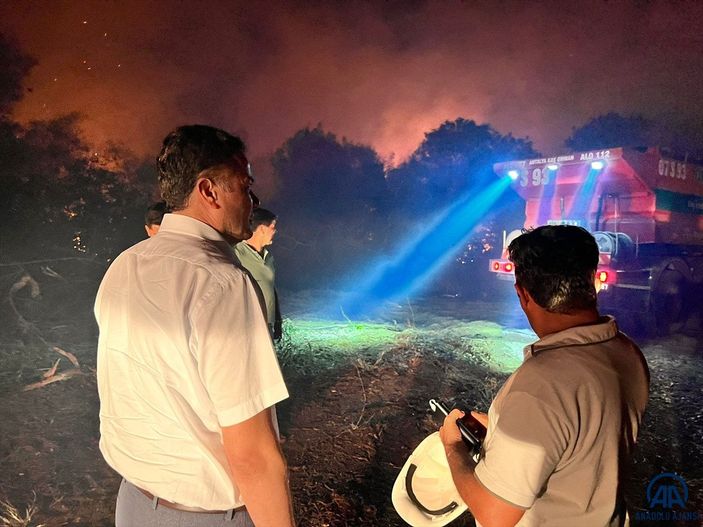 Antalya'da ormanlık alanda yangın