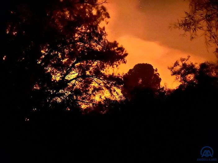 Antalya'da ormanlık alanda yangın