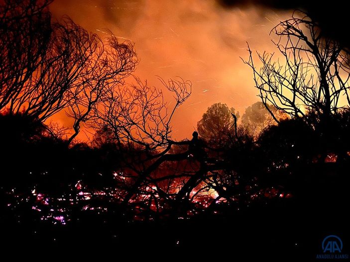 Antalya'da ormanlık alanda yangın