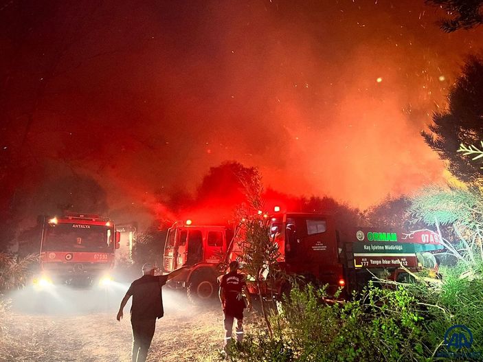 Antalya'da ormanlık alanda yangın