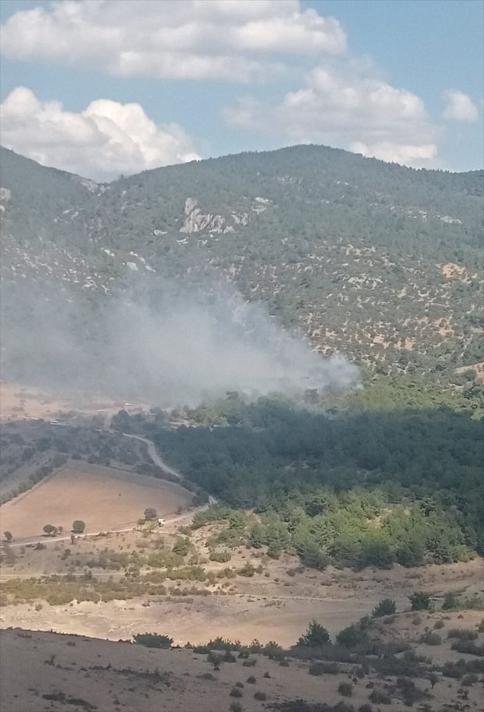 İzmir'de orman yangını başladı