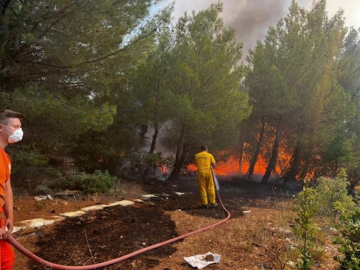 İzmir'de orman yangını başladı