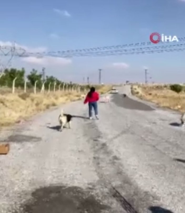 Kayseri'de köpek beslemek isteyen gençler ile mahalleli arasında kavga çıktı