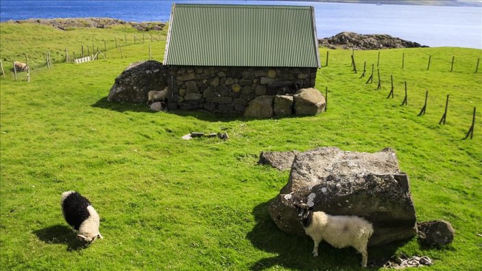 Milli Takım'ın yenildiği Faroe Adaları