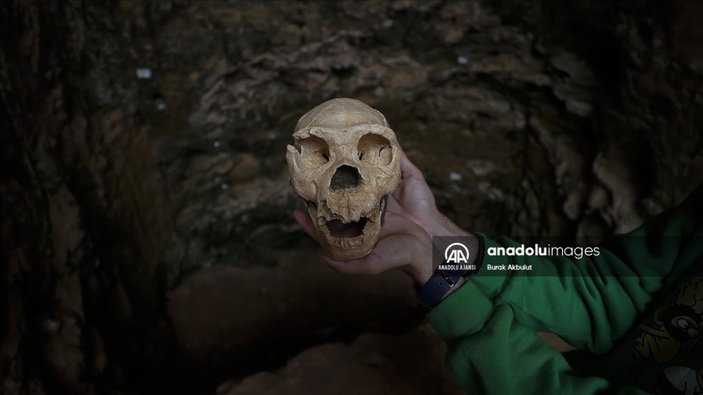 İspanya'da bulunan 1,4 milyon yıllık insan fosili, ziyaretçilerin ilgisini çekiyor