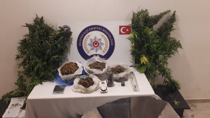 Bursa’da, evini uyuşturucu serasına dönüştüren şüpheli gözaltına alındı