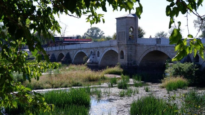 Edirne'deki Tunca Nehri'nde ot ve sazlık öbekleri oluştu