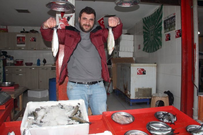 Giresun'daki balıkçılar palamudun Doğu Karadeniz'e uğramamasından şikayetçi