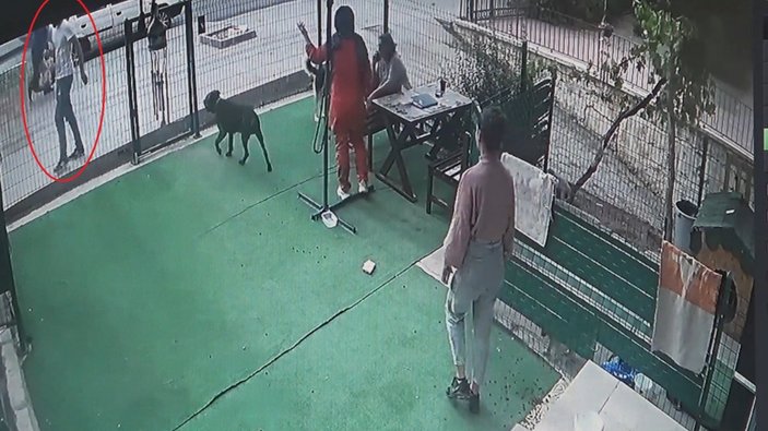 Kırıkkale'de, veterinere şişeli bıçaklı saldırı: Hayvanları kesmekle tehdit etti