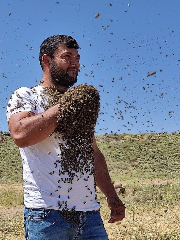 Batman’da binlerce arıyı vücudunda taşıdı