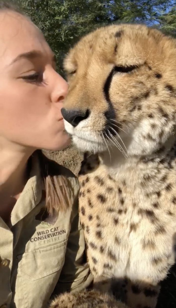 Çita ve genç kızın sevimli anları kamerada