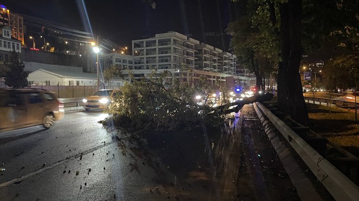 Trabzon'da şiddetli rüzgar ağaçları devirdi