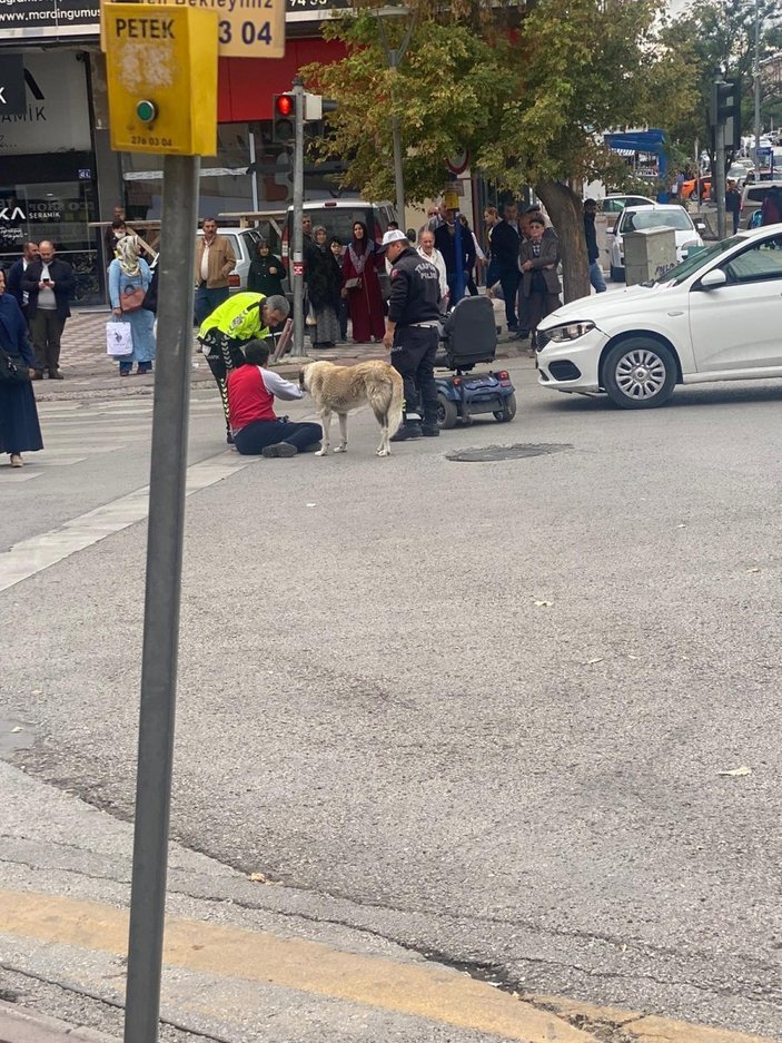 Engelli vatandaşa araba çarptı, sokak köpeği başından ayrılmadı