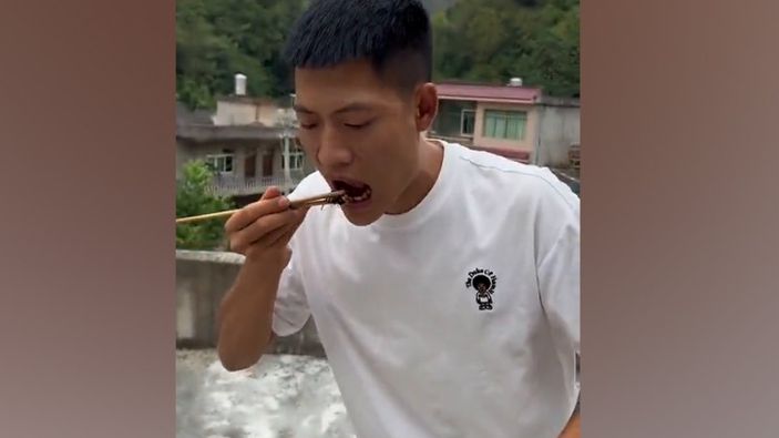 Çinli fenomen yaban arısı yedi