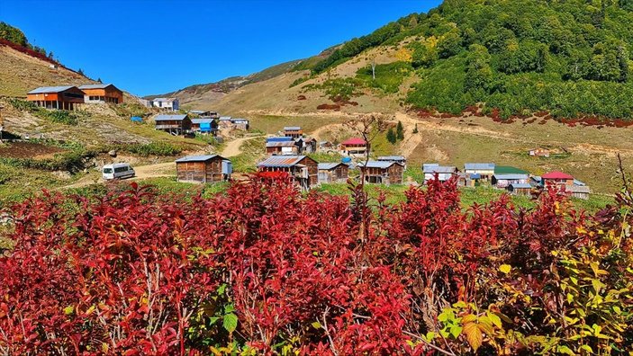 Macahel, sonbahar renklerine büründü