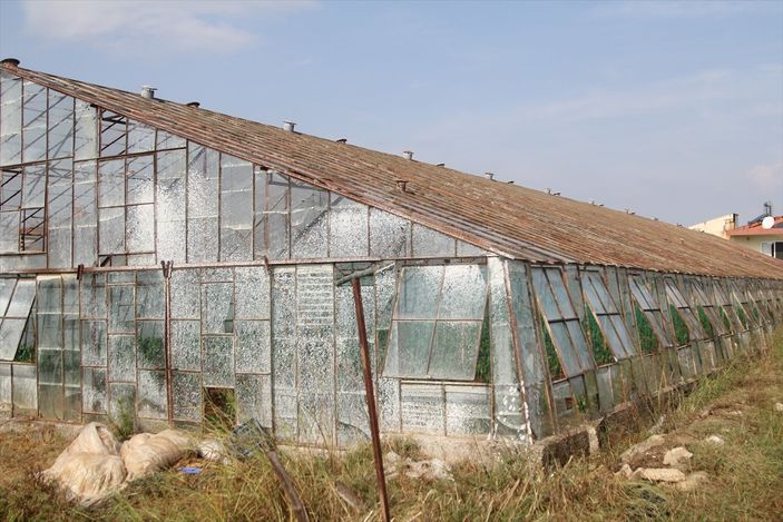 Antalya'da etkili olan fırtına seralara zarar verdi