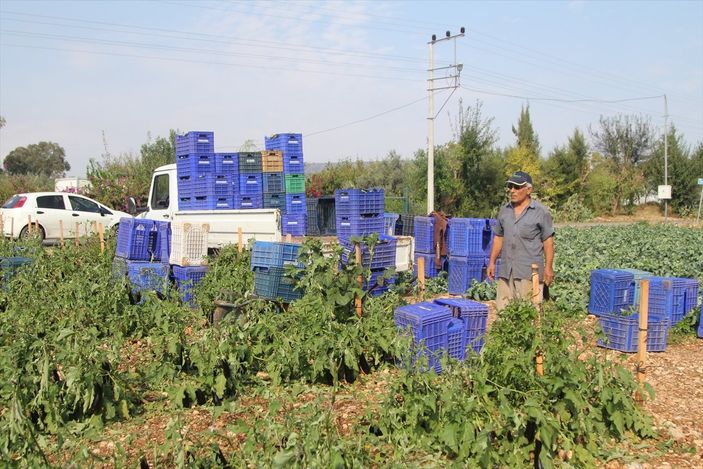 Antalya'da etkili olan fırtına seralara zarar verdi