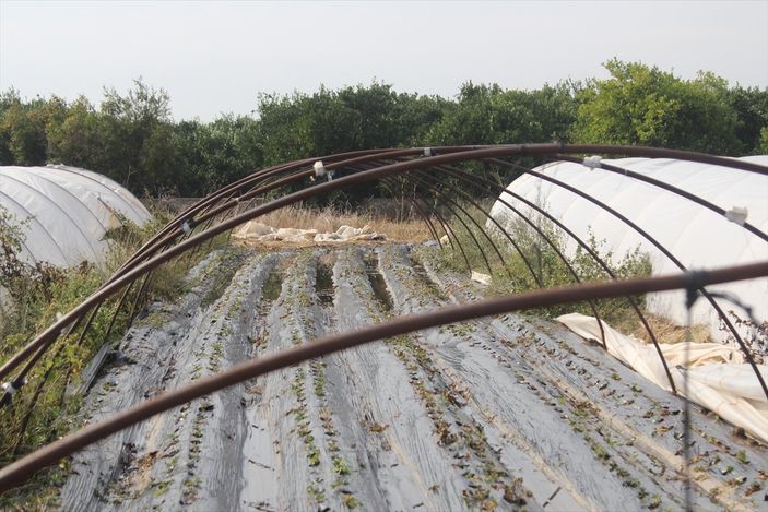 Antalya'da etkili olan fırtına seralara zarar verdi