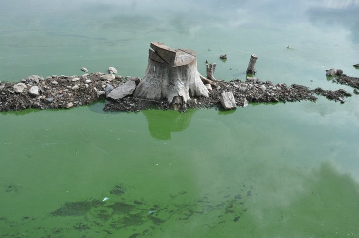 Kars Baraj Gölü yeşile büründü, etrafa pis kokular yayıldı
