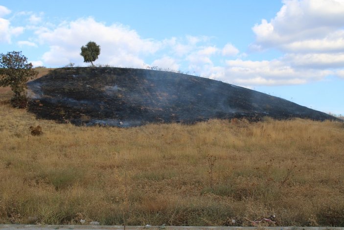 Aydın'da belediye personelleri yangını büyümeden söndürdü