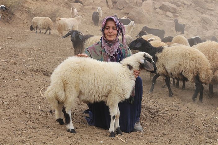 Hakkarili kadın, izlediği haber sayesinde sürü sahibi oldu