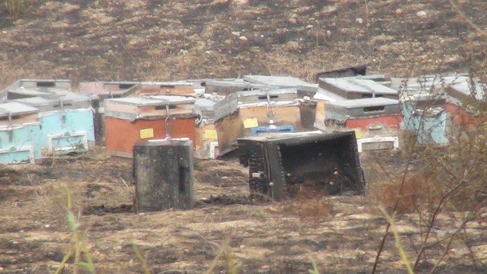 Antalya'da, yangının ortasında kalan arı kovanları küle döndü