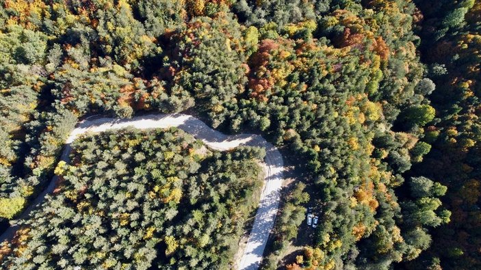 Bolu'nun ormanlarında renk cümbüşü yaşanıyor