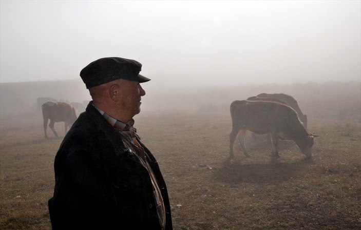 Kars