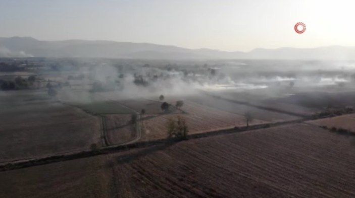 Sakarya'da çıkan anız yangınları ekiplerce kontrol altına alındı