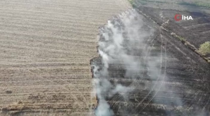 Sakarya'da çıkan anız yangınları ekiplerce kontrol altına alındı