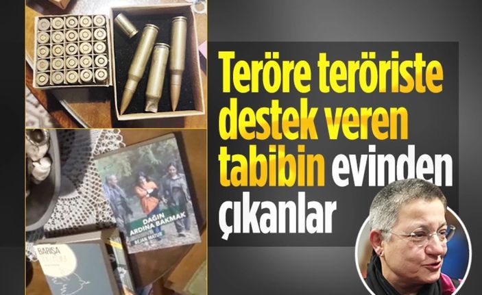 Şebnem Fincancı'nın avukatı: Dededen, atadan kalan birkaç mermi