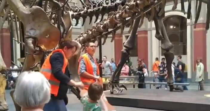 Almanya'da iklim aktivistleri, kendilerini dinozor iskeletine yapıştırdı