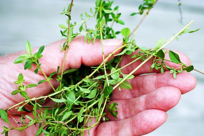 Ateş nasıl düşürülür? En etkili ateş düşürücü yöntemler!